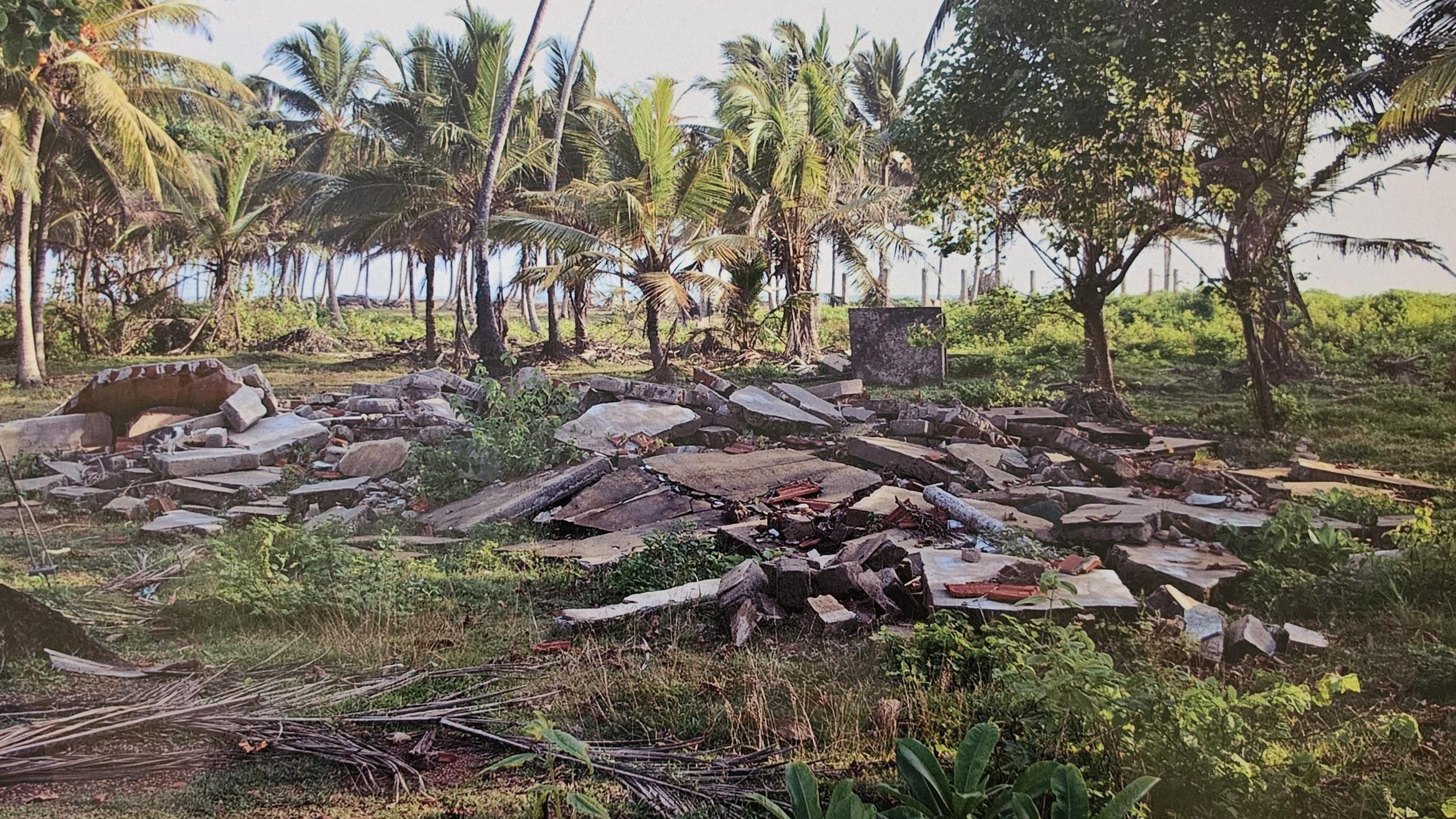 A pile of rubble and planks lie in a clearing bordered by green palm and tropical trees. 