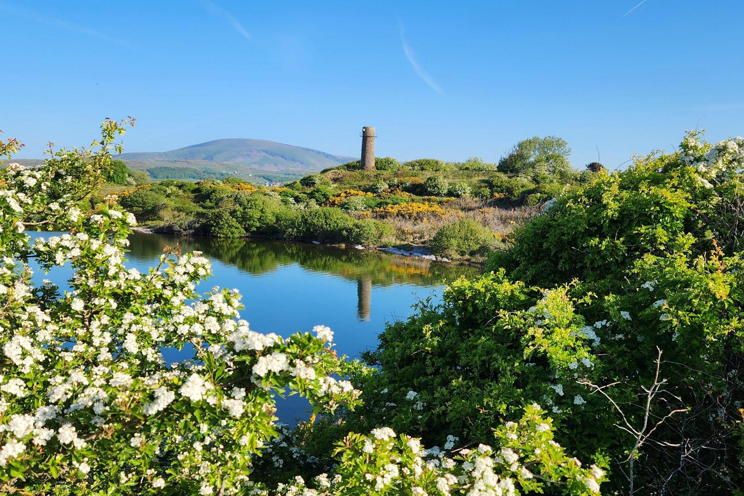 A sunny landscape photo. There are lush green trees and white flowers in bloom in the foreground. Further afield, a stone tower on a hill is reflected in the water below it. There is a grassy mountain in the background. The sky is blue.