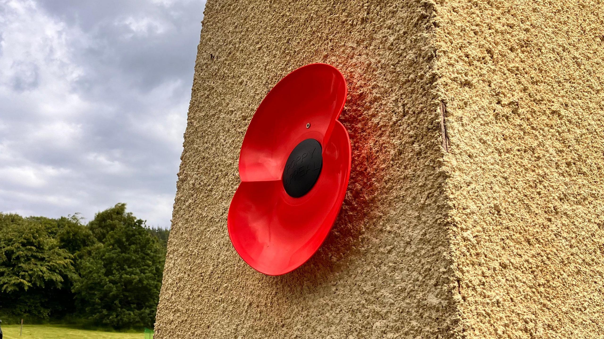 Image of a poppy stuck on the cenotaph