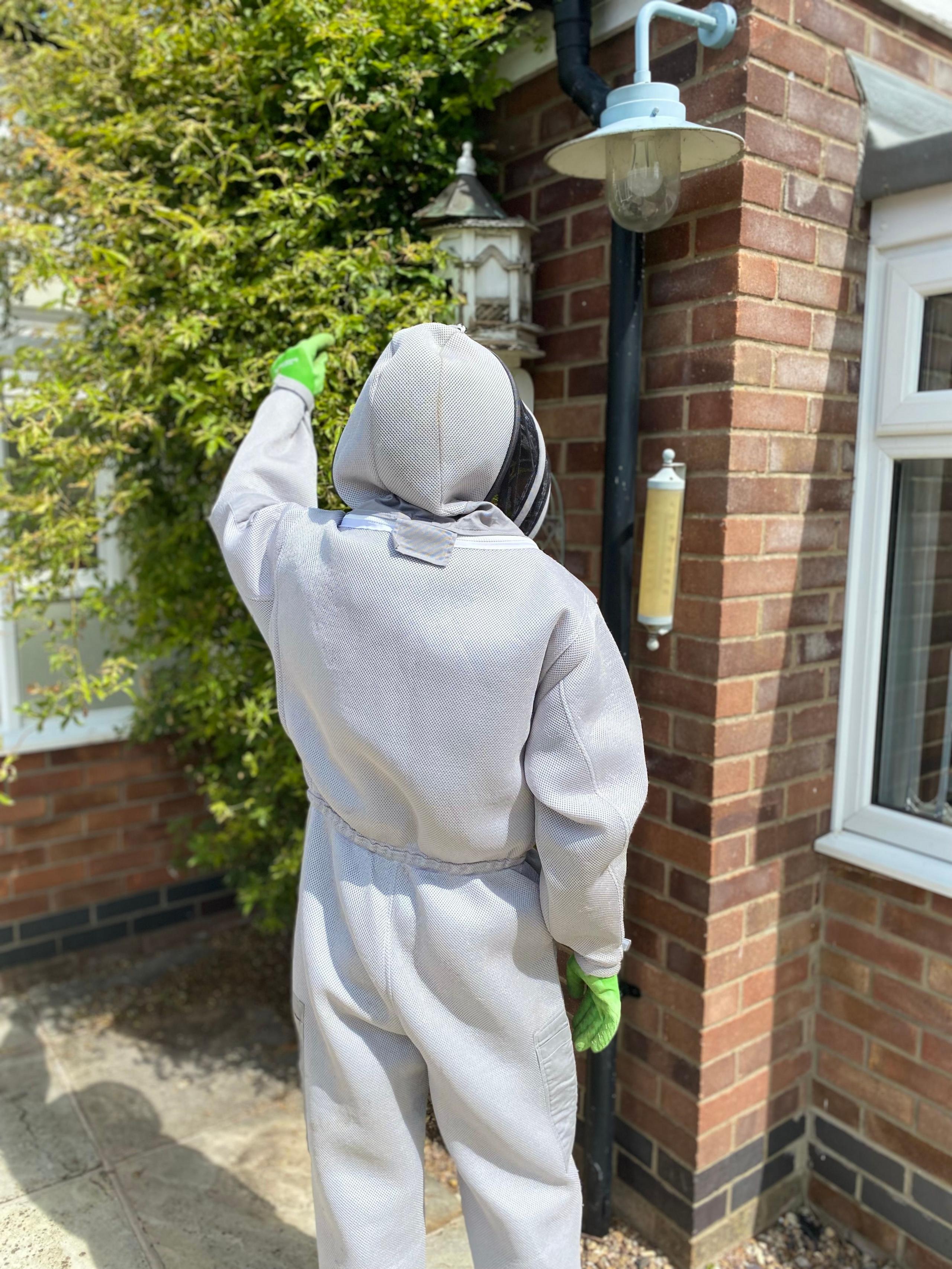 Mr Brighton is wearing an all body protective suit with hood and face mask, he is turned away from the camera and is spraying a climbing shrub on the side of a house.