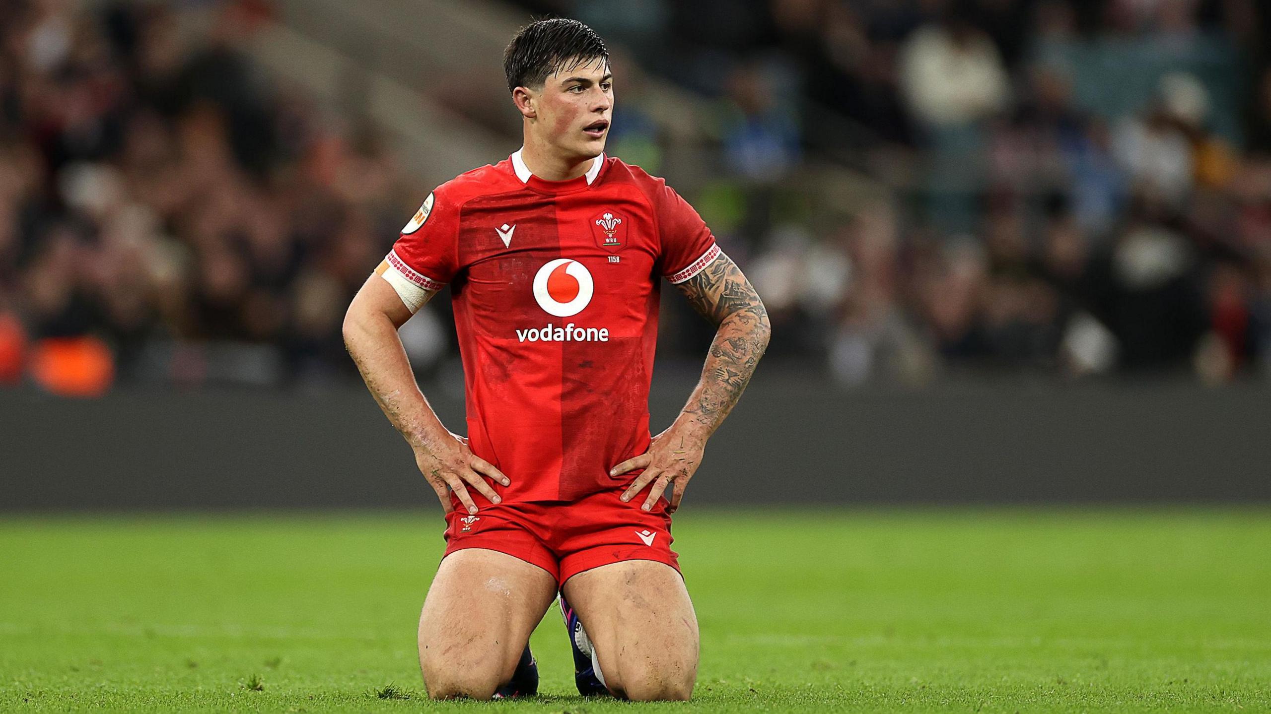 Louis Rees-Zammit, who has started four internationals for Wales at full-back, on his knees against England