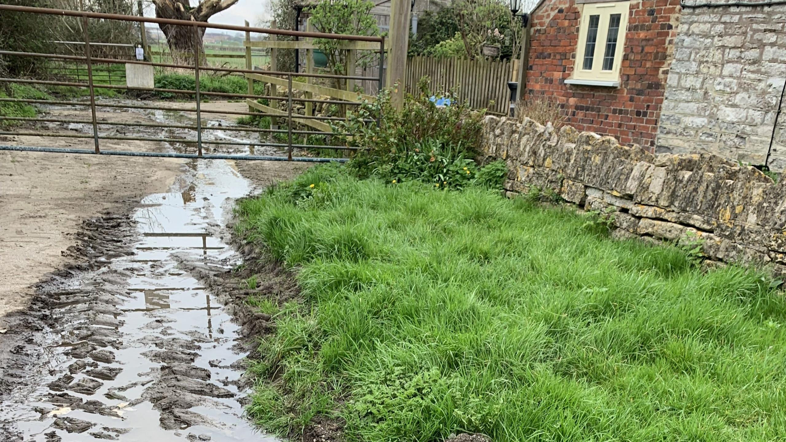 On the right of the photo is a patch of grass, then running alongside is discoloured water which has flowed from the drain.