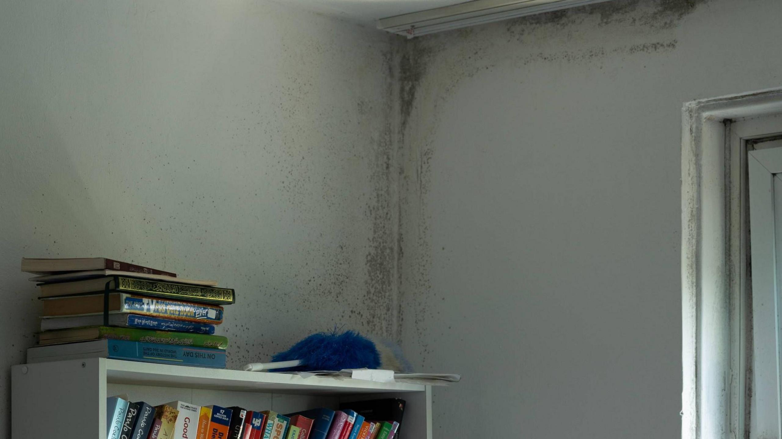 Black mould is visible on the white wall behind a bookcase.