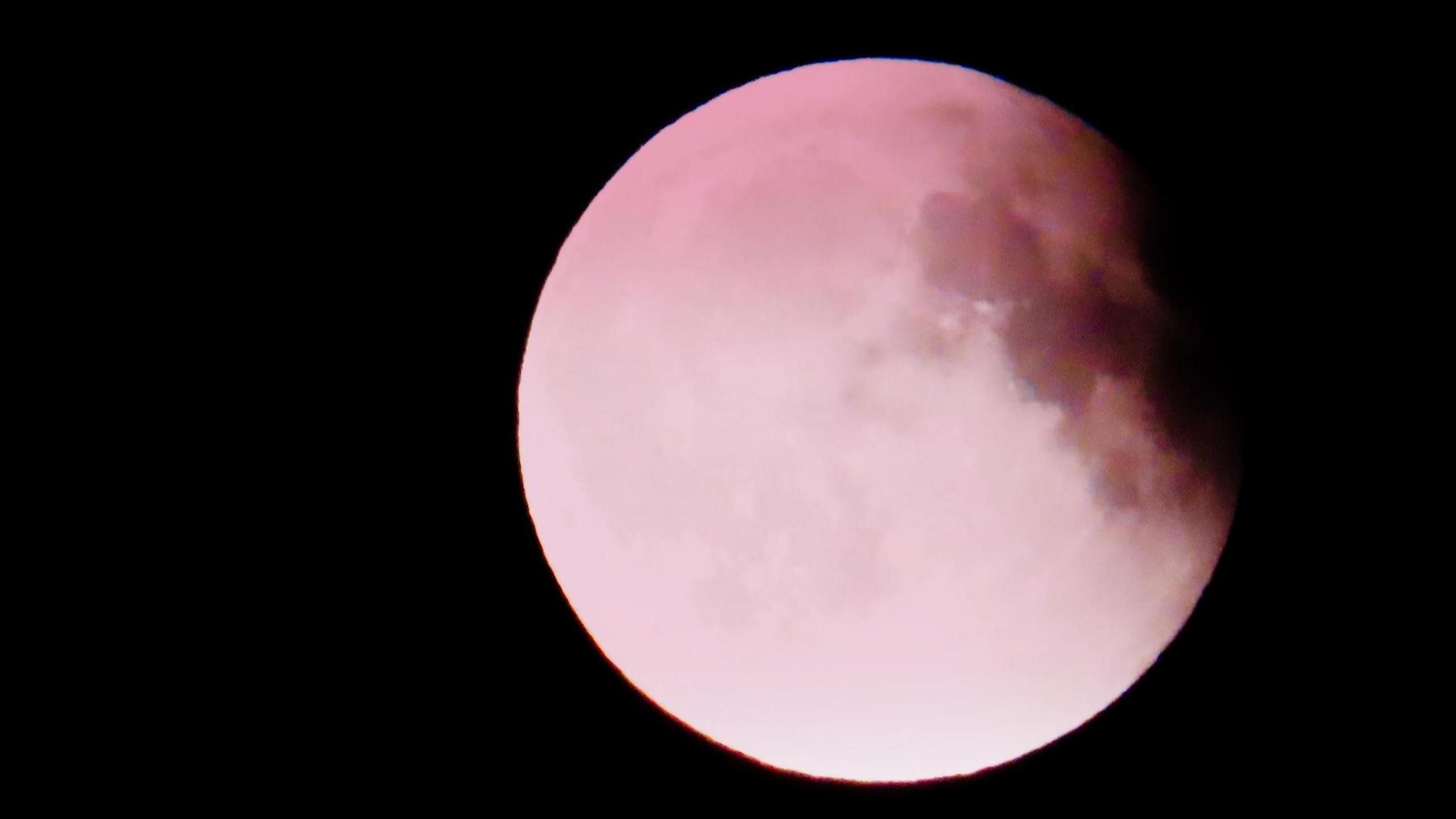 An image of the Moon captured during the lunar eclipse on 7 September, with the Moon appearing to take on a pink hue.