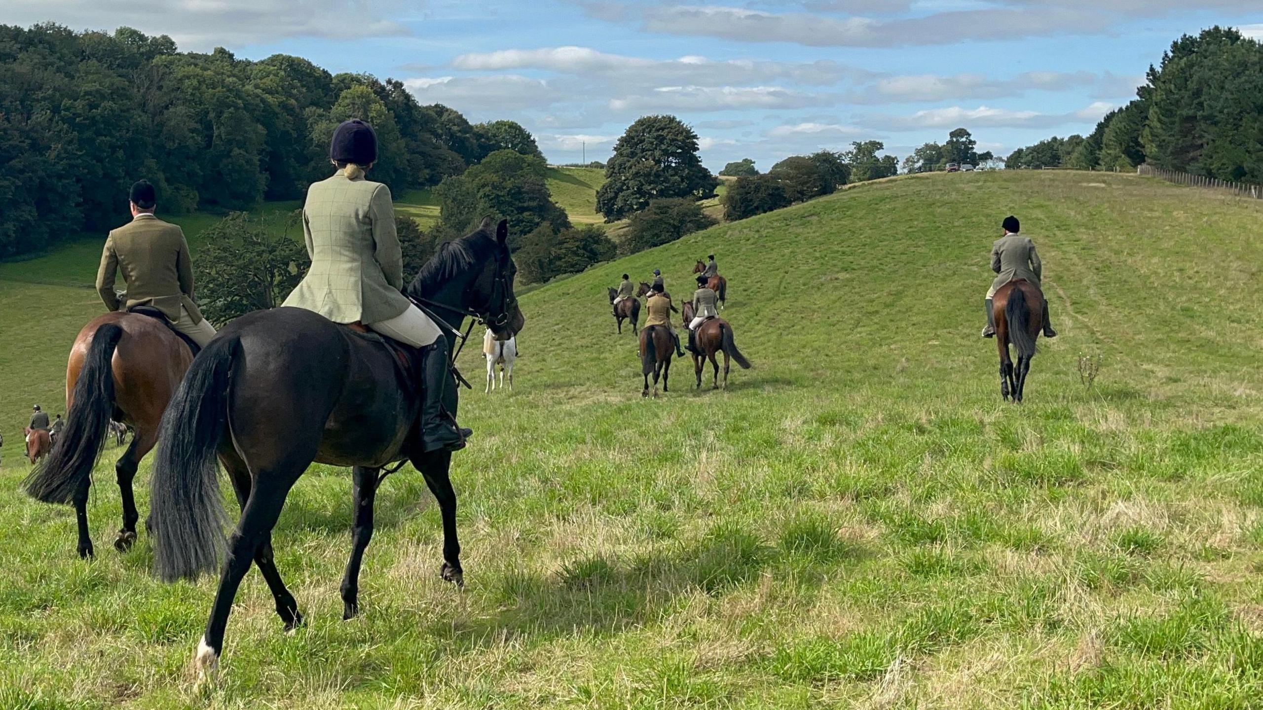 In the foreground, two hunters and there horses ride away from the camera. One of the horses is black, the other dark brown. Both riders wear tweed jackets, beige jodhpurs and black riding boots. In the background you can see around eight other horses and riders setting out across the hills. The grass is bright green and there's trees and shrubbery on the horizon. It's a sunny day with a blue sky and a few clouds. 