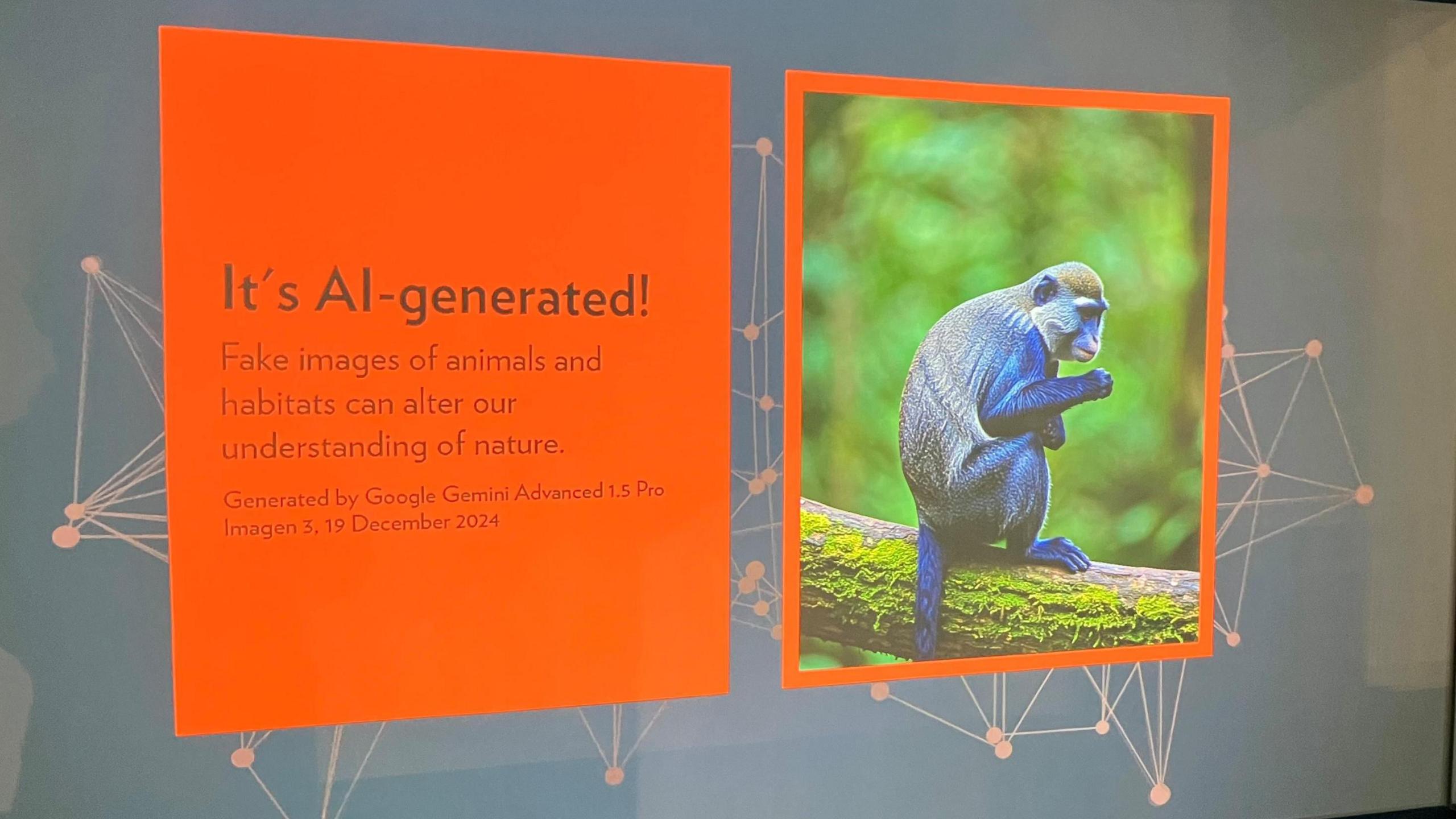 A photo of the exhibition shows an image of a monkey projected on to a wall, next to it as a orange information box explaining the image is AI generated.