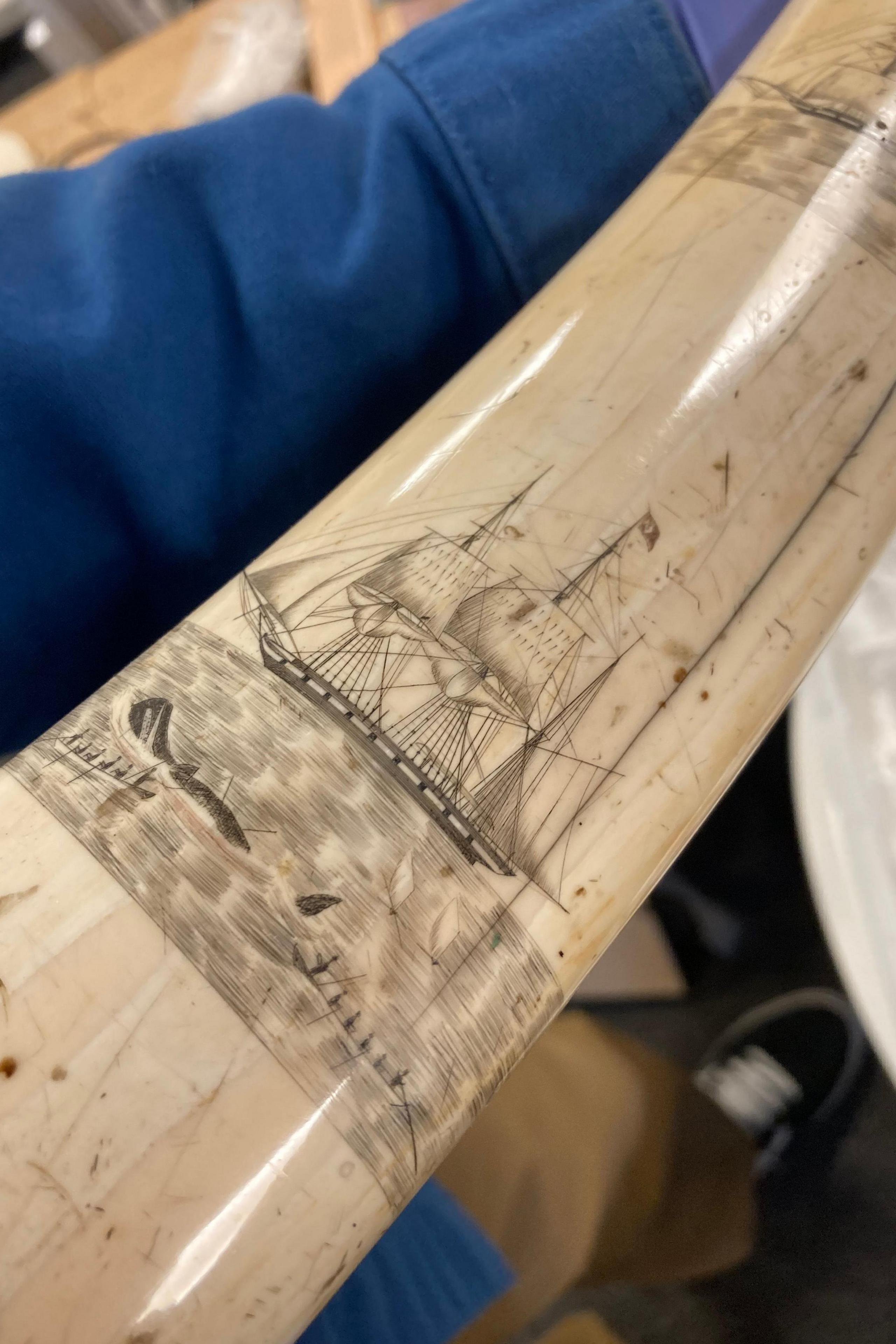 A close-up picture of a tusk with a sailing ship engraved on it