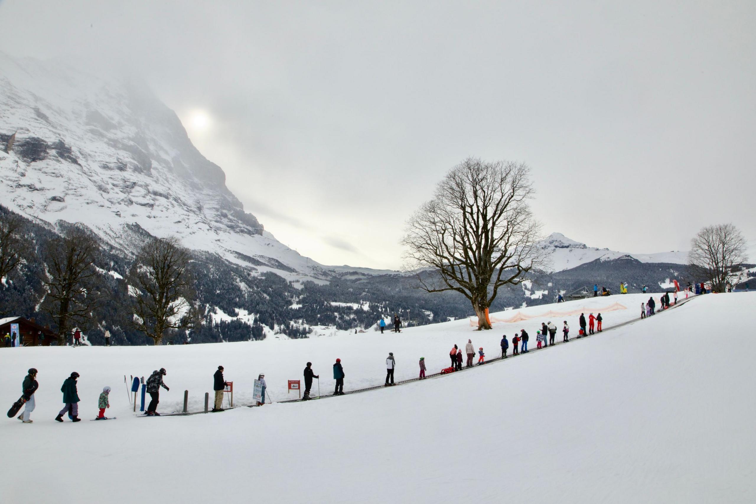 Skiers on a conveyer belt at Grindelwald, Switzerland. The skiers are in a line heading up an incline. There are snow-capped mountains behind them.