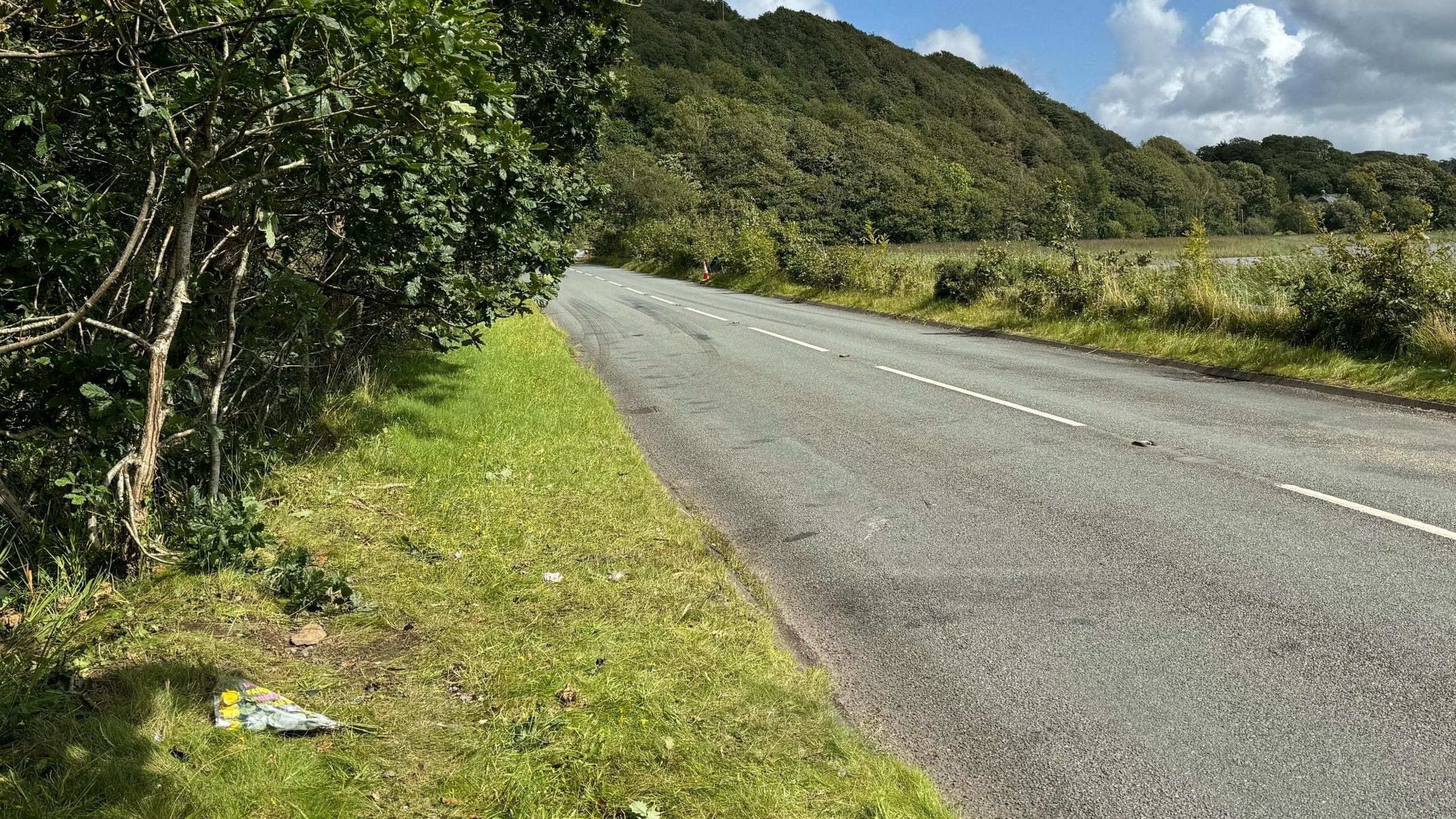 A496 at Barmouth, Gwynedd, with flowers at the side of the road, and trees on a mountain in the background