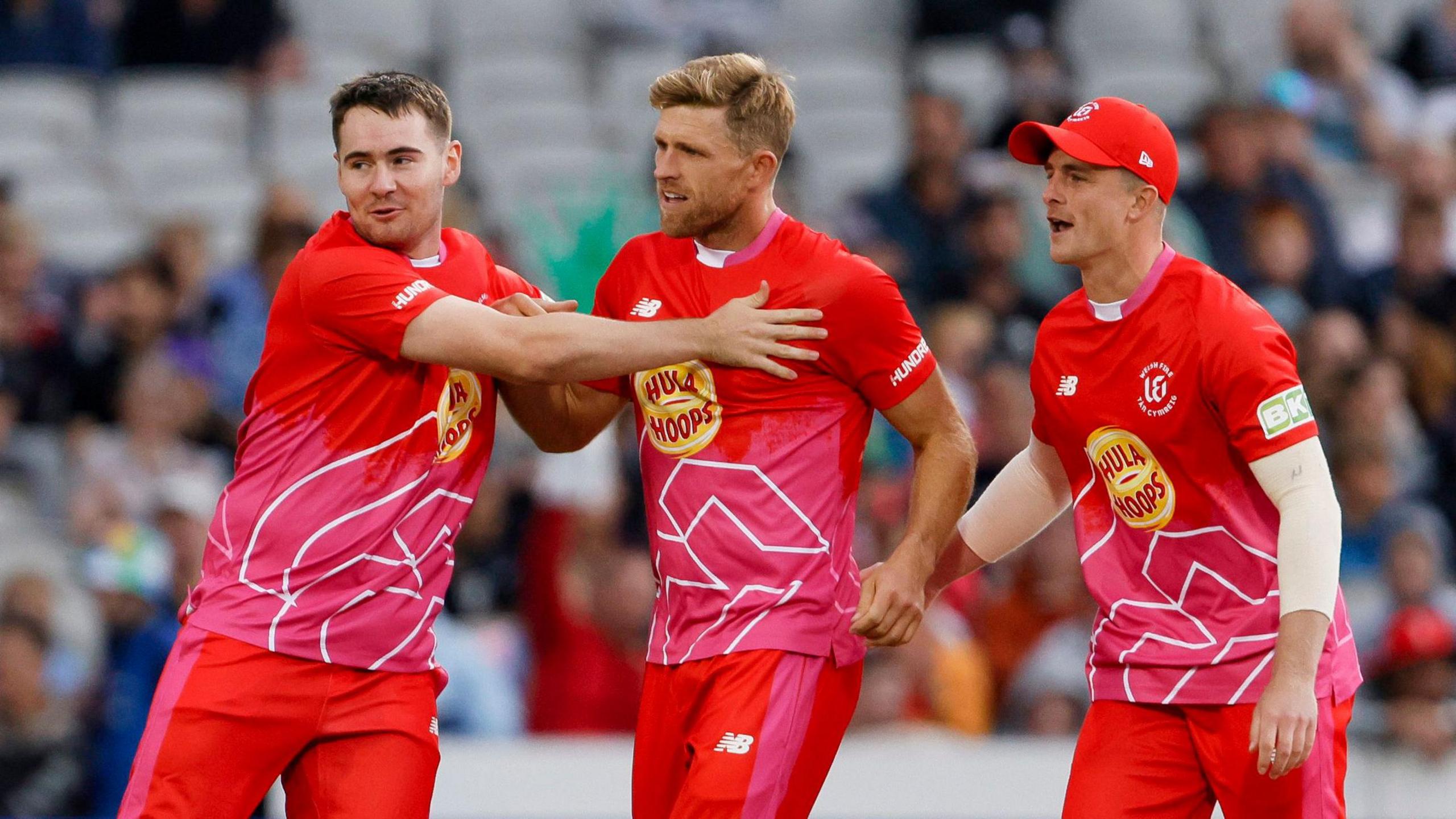 David Willey celebrates with team-mates