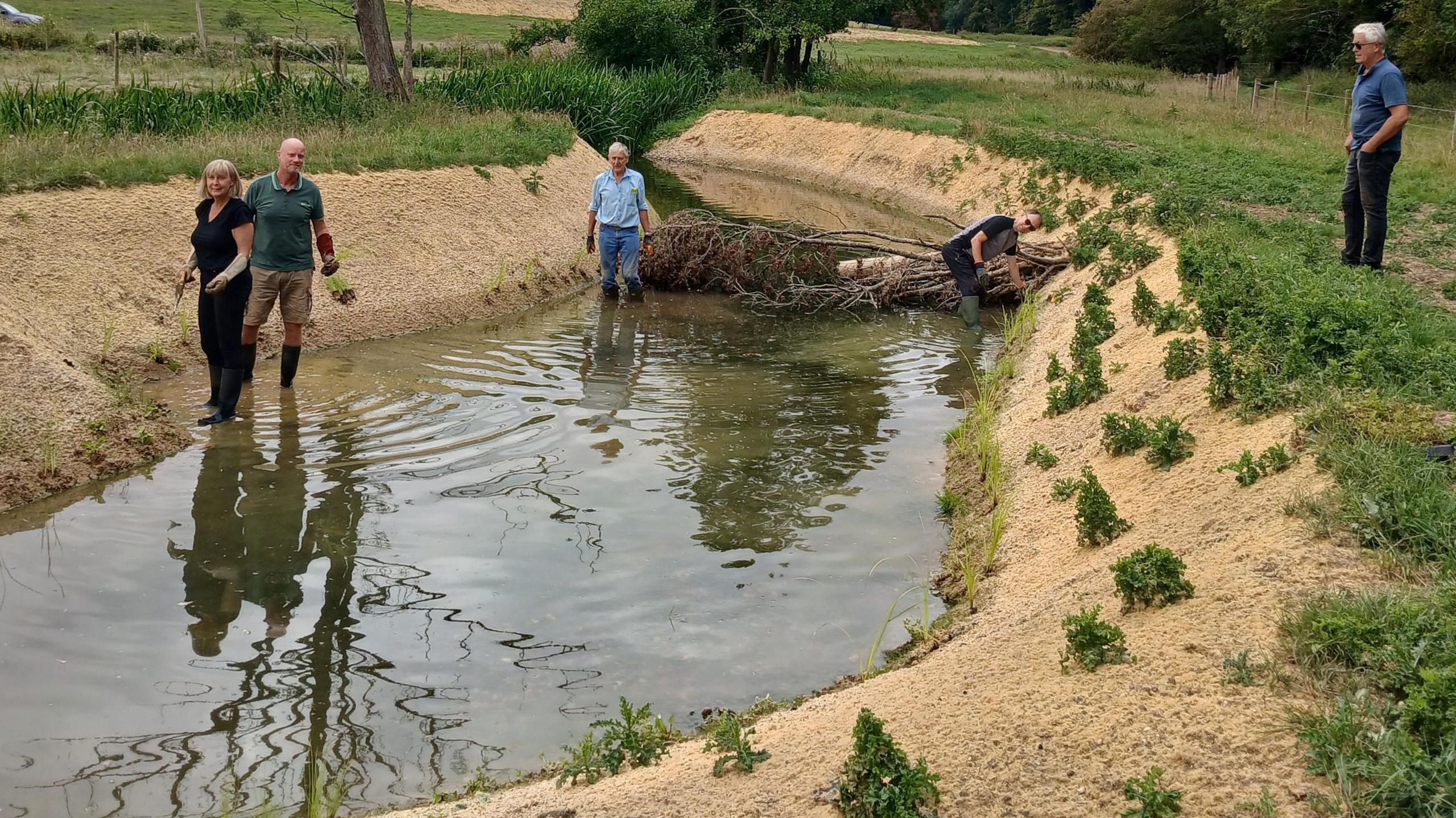 Four people, standing by a river, with a bank and foliage on it, with a tree in the middle of the river. There is grass around the water and trees. 