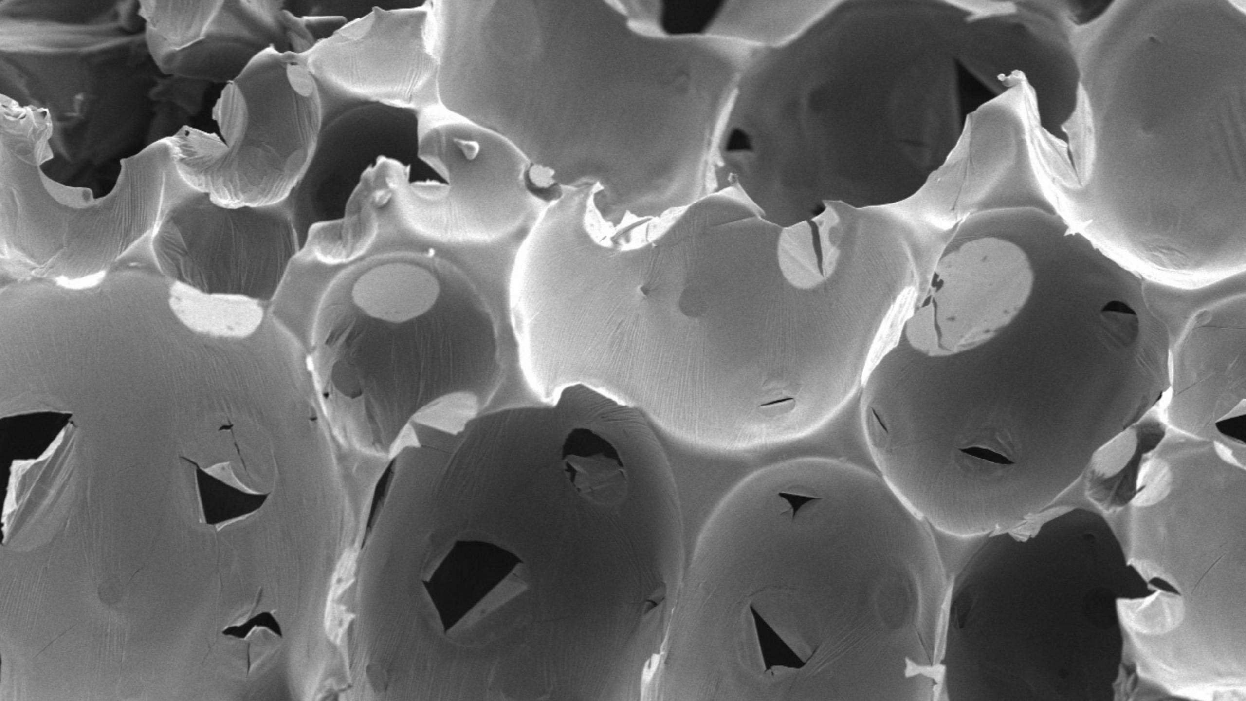 The structure of meringue is seen under the electron microscope as a series of black and white circles