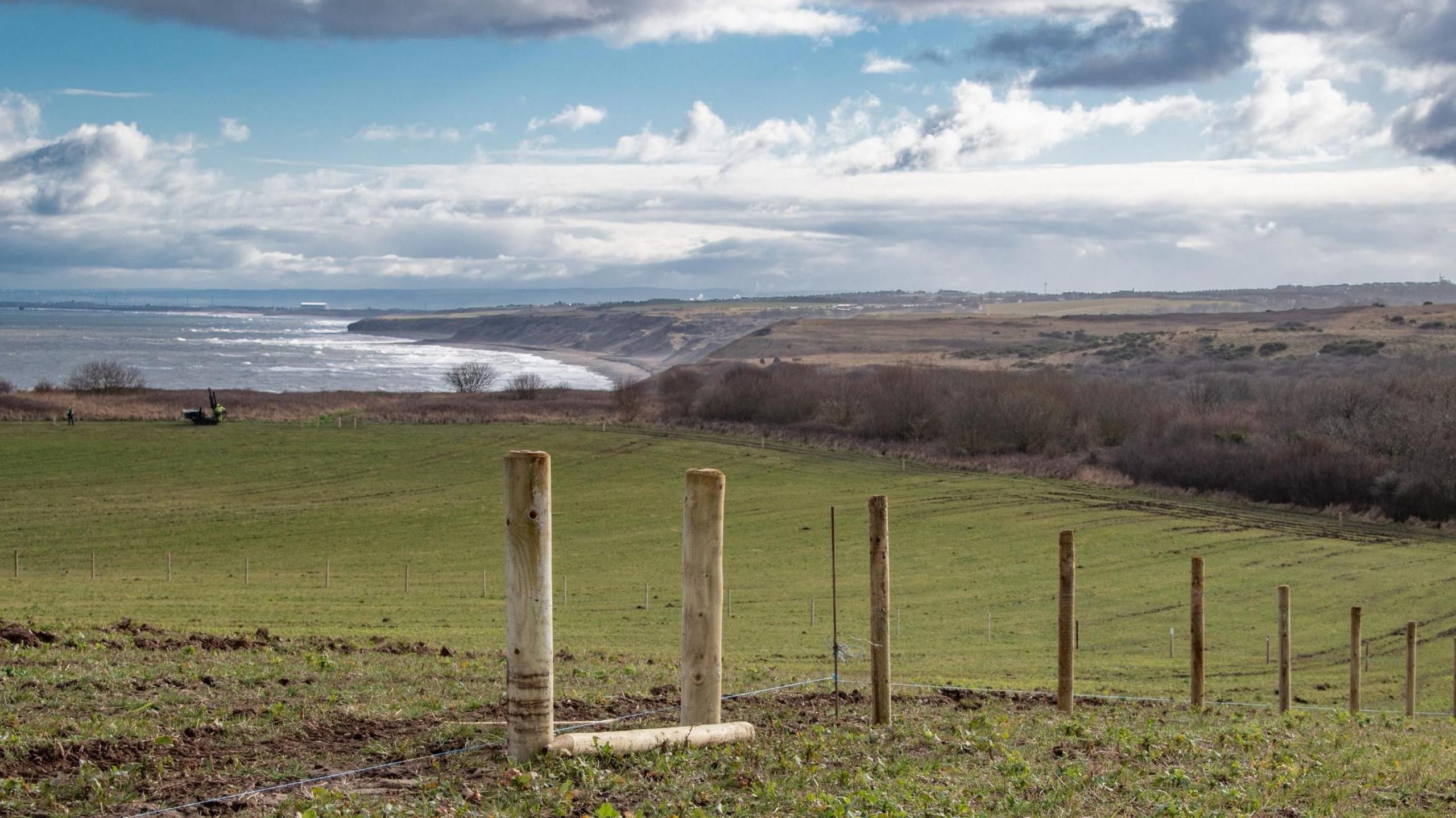 A large field is in the foreground sweeps down to the sea with a stretch of coastline in the distance. There are trees to the right and a blue sky with some clouds above.