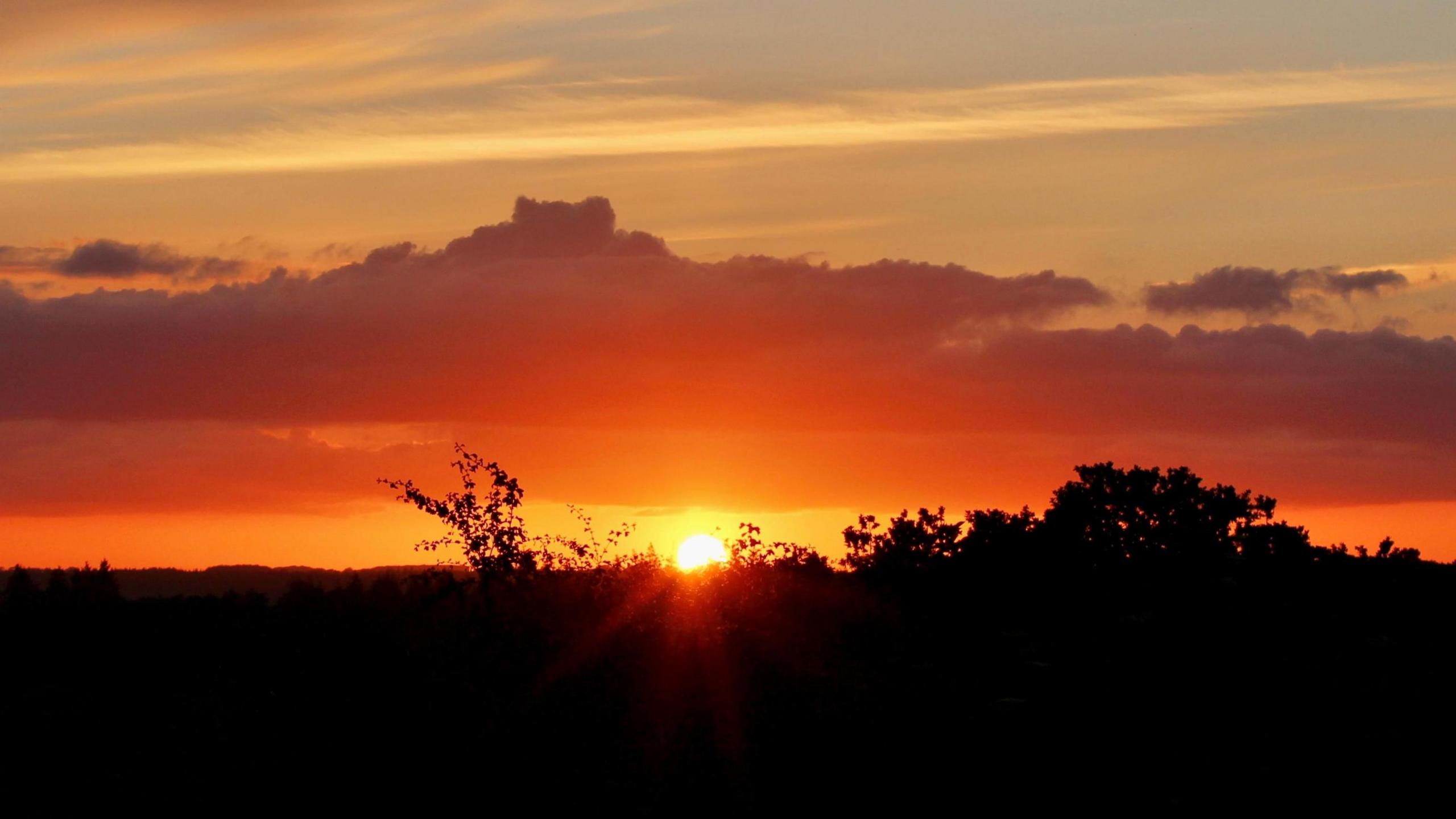 Bramshaw pictured at sunset with the foreground of trees and bushes silhouetted in orange by the sun