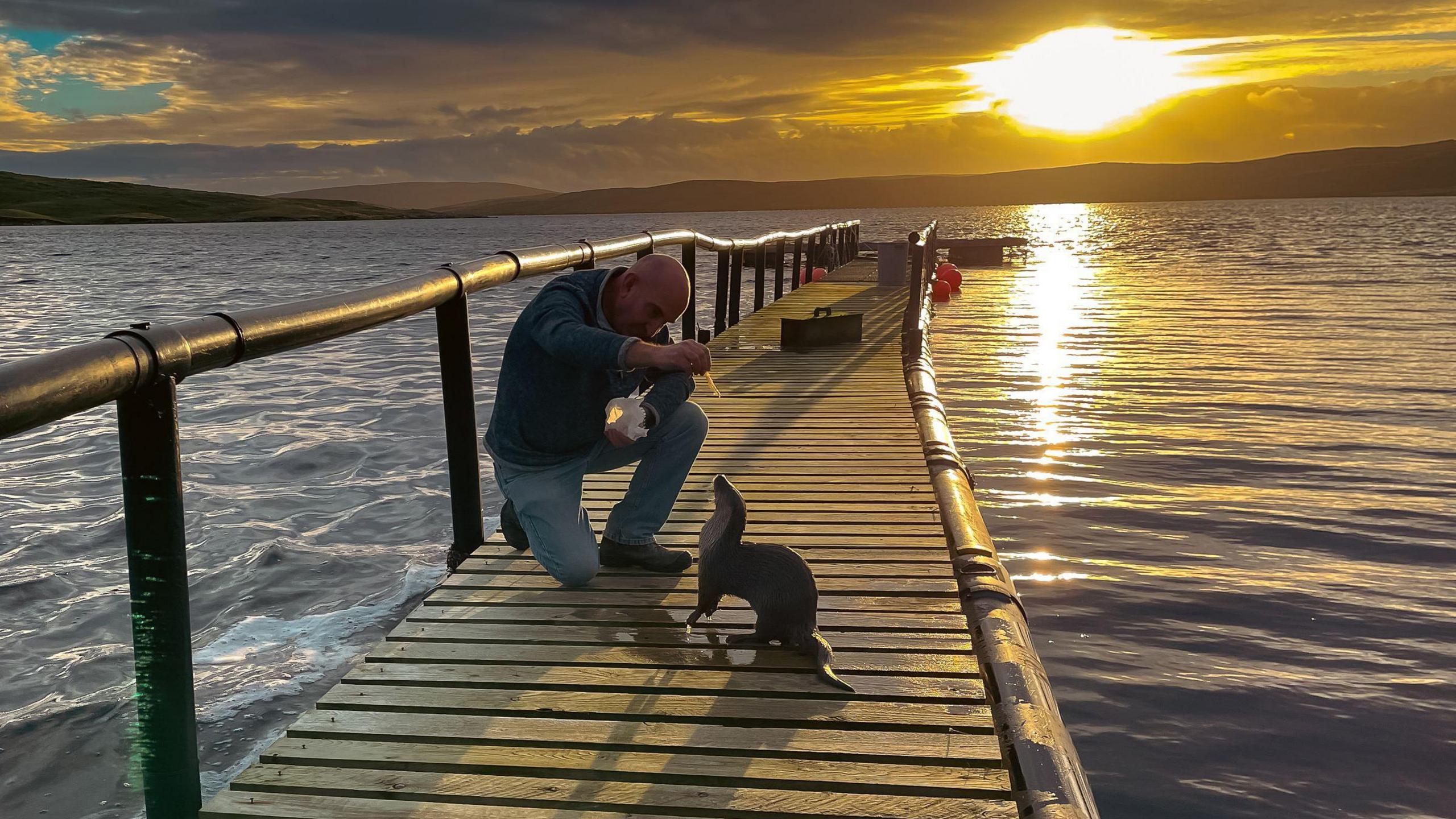 A man feeding a chunk of fish to an otter, both standing on a pontoon floating in the water