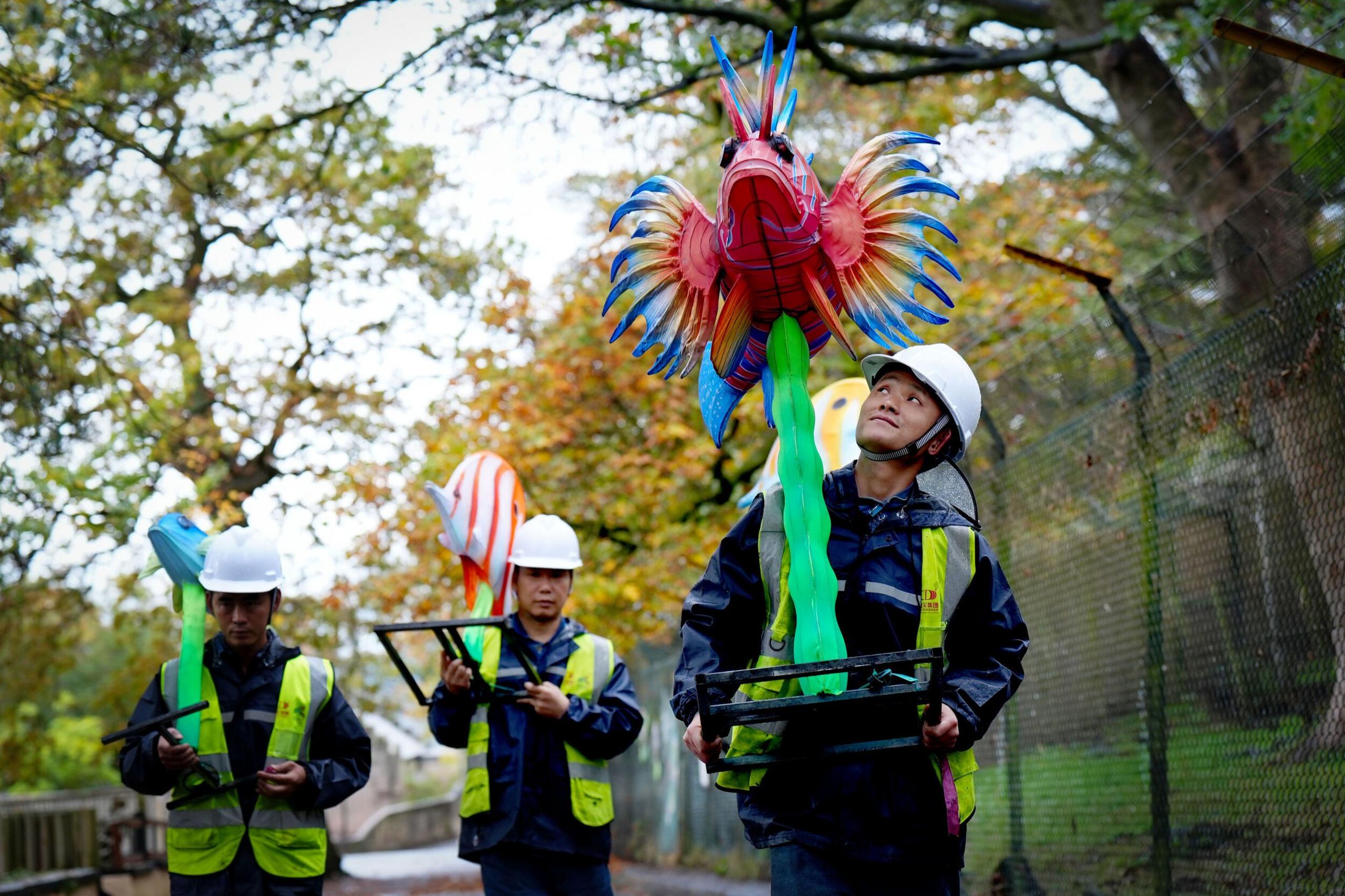 Three men in hard hats and fluorescent jackets walk along a path carrying lanterns shaped like colourful fish. Trees are in the background