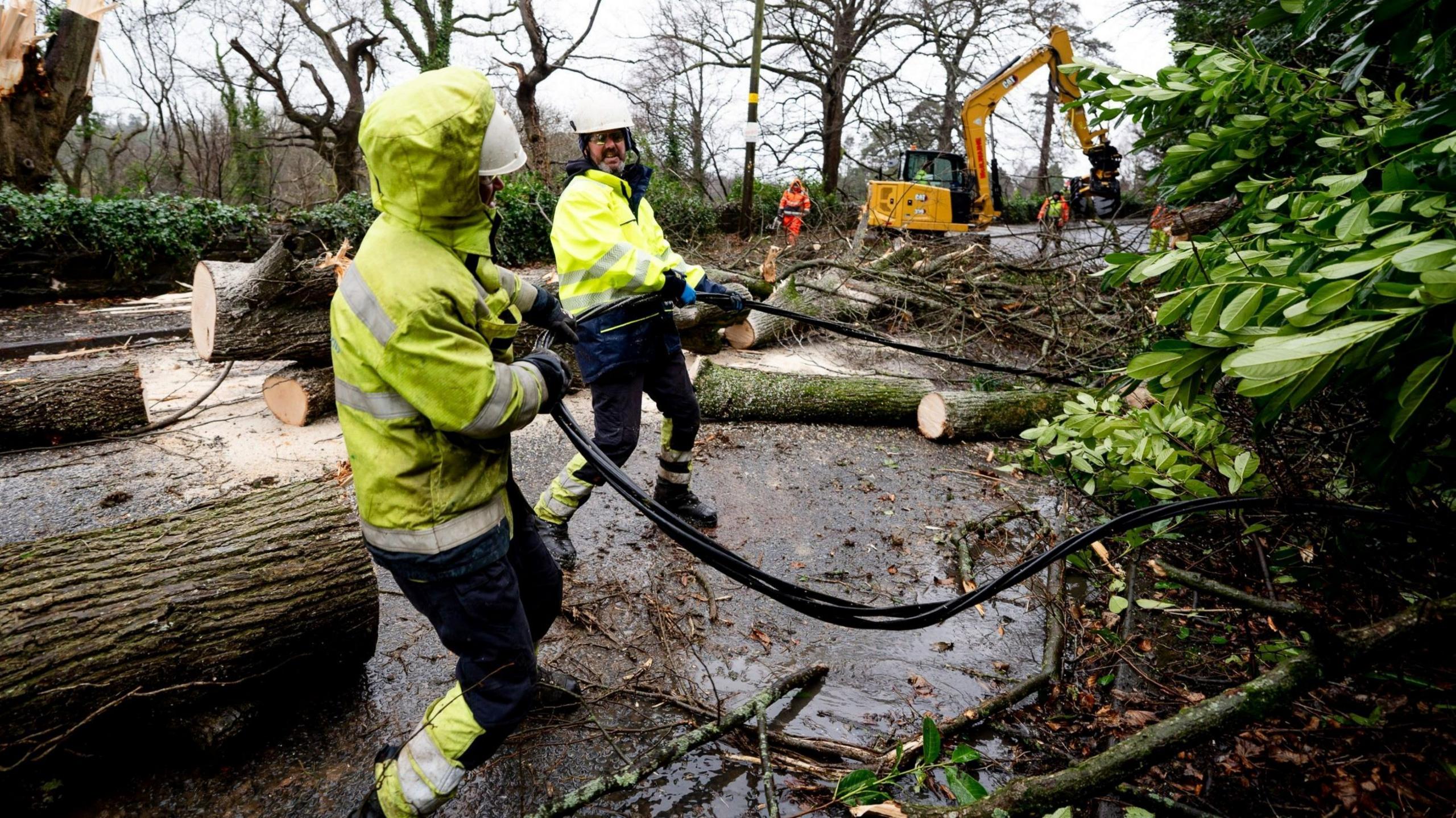 Two workers in hi-vis NIE gear are tugging some fallen trees using black cable. They are surrounded by stumps that have been removed and there is a yellow digger in the background and some more workers in hi-vis.