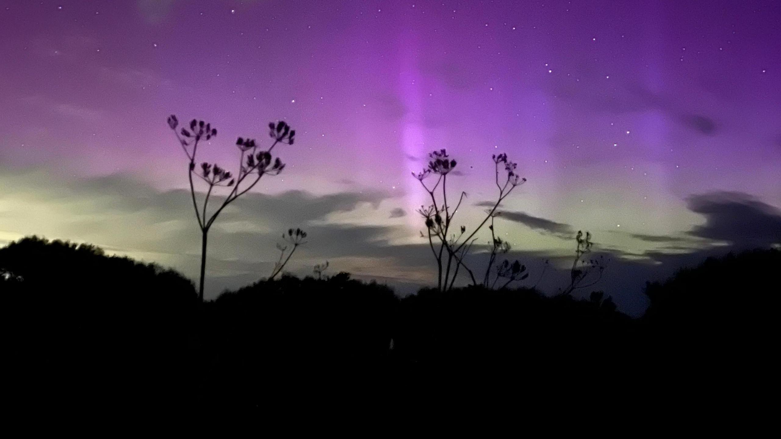 The Northern Lights above Bempton 