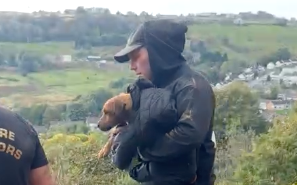 A dog is carried away from a cliff by a volunteer, with the small pet wrapped in a coat.