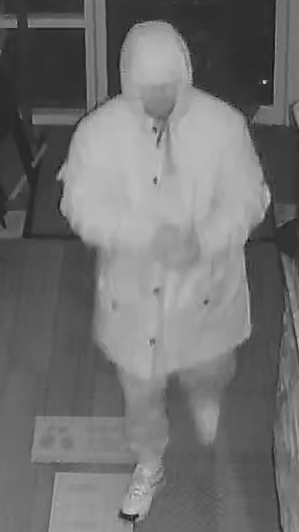 Image of suspect