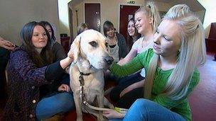 Students with a dog