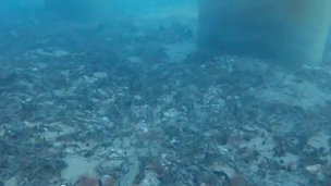 An underwater image of oil sitting on the seafloor in the Kerch Strait. 