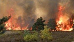 Fire at Frensham Common