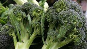 Broccoli