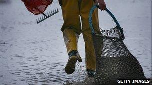 Cockle picker in Morecambe Bay