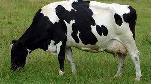 Some areas declared for grazing were covered in scrub, bracken and rushes