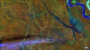 Satellite image of logging roads