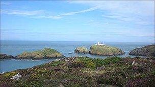 Strumble Head - photo Alwyne Jenkins