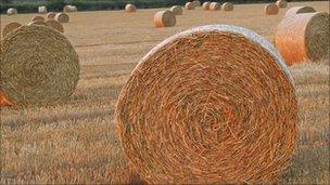 Straw bales