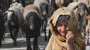 An Afghan girl herds sheep near Kabul 19 July 2010