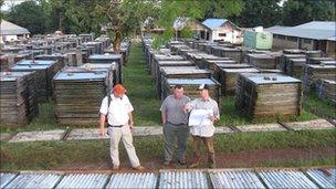 Senior Randgold executives inspect core samples at Kibali (undated handout picture)