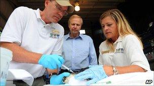 Bob Dudley observes a sea turtle receiving treatment