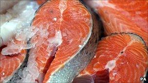 Salmon