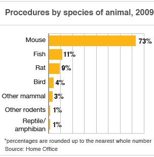 Graph showing the number of scientific procedures in 2009 by species