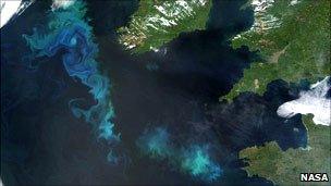 Algal bloom off British Isles