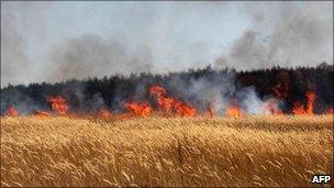 Flames are seen in a field at the edge of Voronezh, central Russia