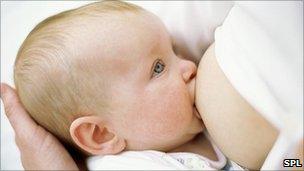 A baby being breastfed