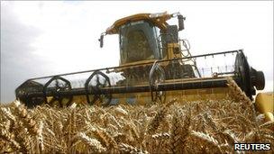 Wheat being harvested in France