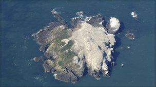 Grassholm Island in Pembrokeshire