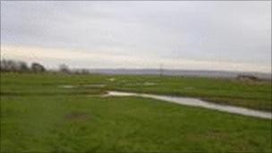 What the future salt marsh will look like - Environment Agency