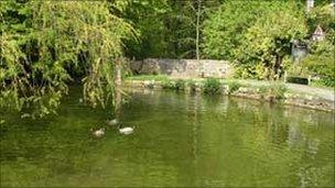 Fonmon pond in better days (Photo: David Howell)