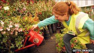 A gardener waters flowers (file photo)