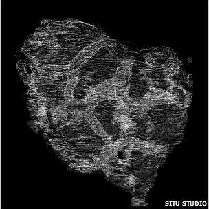 Internal tunnels of ancient "sponges" (Situ Studio)