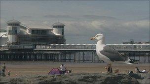 Weston-super-Mare's Grand Pier