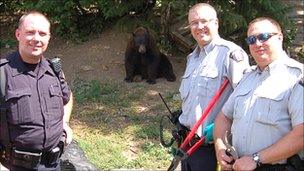 Canadian police with bears