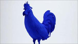 Blue cockerel